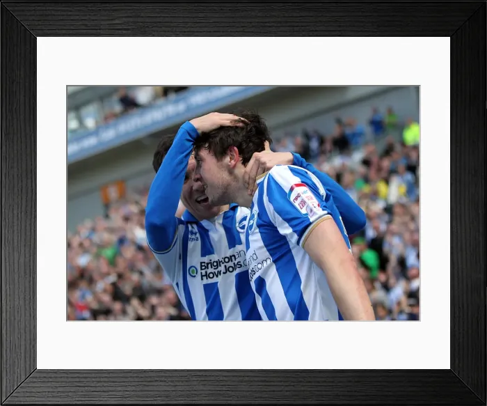 Framed Print : Brighton & Hove Albion vs. Blackpool (2013): A Home Game from the 2012-13 Season Framed Print : Brighton & Hove Albion vs. Blackpool (2013): A Home Game from the 2012-13 Season