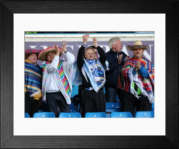 Framed Print : Sea of Supporters: Brighton & Hove Albion Away Games 2012-13