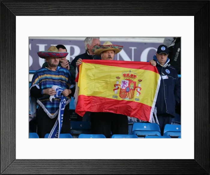 Framed Print : Brighton & Hove Albion vs. Leeds United (Away) - A Past Clash from the 2012-13 Season Framed Print : Brighton & Hove Albion vs. Leeds United (Away) - A Past Clash from the 2012-13 Season