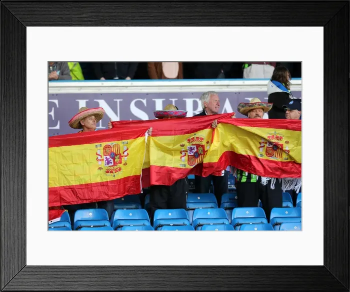 Framed Print : Brighton & Hove Albion vs. Leeds United (Away, 2012-13 Season: Game 41) Framed Print : Brighton & Hove Albion vs. Leeds United (Away, 2012-13 Season: Game 41)