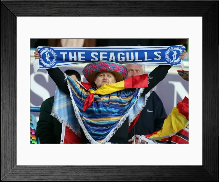 Framed Print : Sea of Supporters: Brighton & Hove Albion Away Games 2012-13 Framed Print : Sea of Supporters: Brighton & Hove Albion Away Games 2012-13