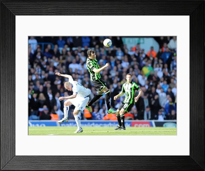 Framed Print : Brighton & Hove Albion vs. Leeds United: 2012-13 Away Game Framed Print : Brighton & Hove Albion vs. Leeds United: 2012-13 Away Game
