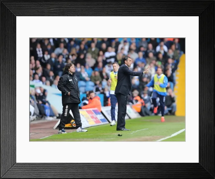 Framed Print : Brighton & Hove Albion vs. Leeds United (Away) - A Past Clash from the 2012-13 Season Framed Print : Brighton & Hove Albion vs. Leeds United (Away) - A Past Clash from the 2012-13 Season