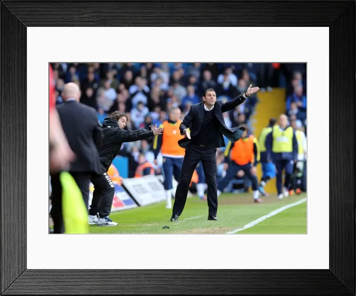 Framed Print : Brighton & Hove Albion vs. Leeds United: 2012-13 Away Game