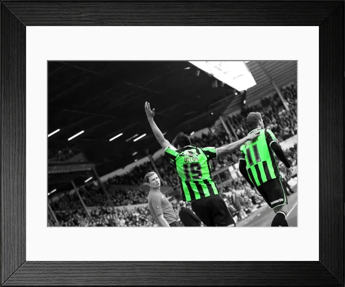Framed Print : Brighton & Hove Albion vs. Leeds United: 2012-13 Away Game Framed Print : Brighton & Hove Albion vs. Leeds United: 2012-13 Away Game