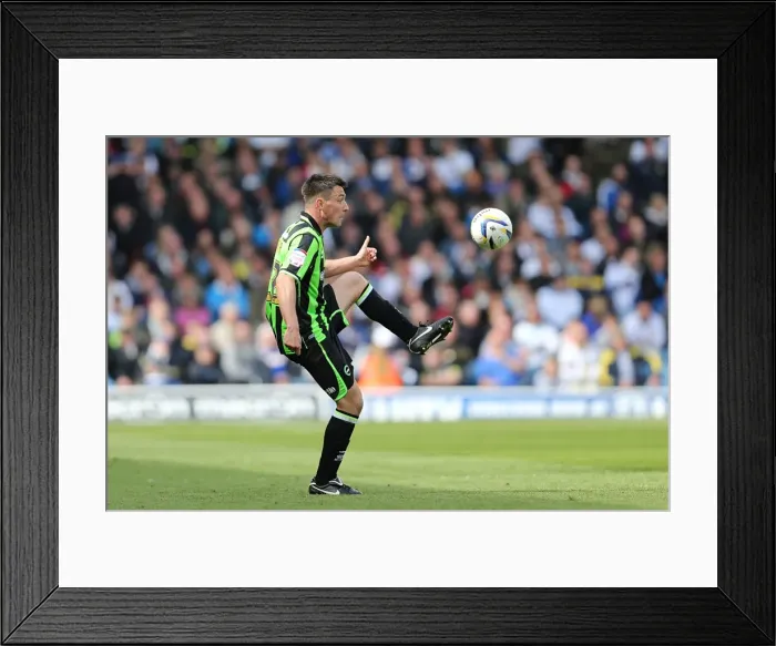 Framed Print : Brighton & Hove Albion vs. Leeds United: 2012-13 Away Game Framed Print : Brighton & Hove Albion vs. Leeds United: 2012-13 Away Game