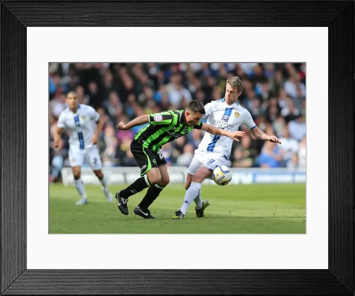 Framed Print : Brighton & Hove Albion vs. Leeds United: 2012-13 Away Game