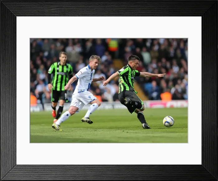Framed Print : A Battle at Elland Road: Brighton & Hove Albion vs. Leeds United (2012-13 Season - Away Game) Framed Print : A Battle at Elland Road: Brighton & Hove Albion vs. Leeds United (2012-13 Season - Away Game)