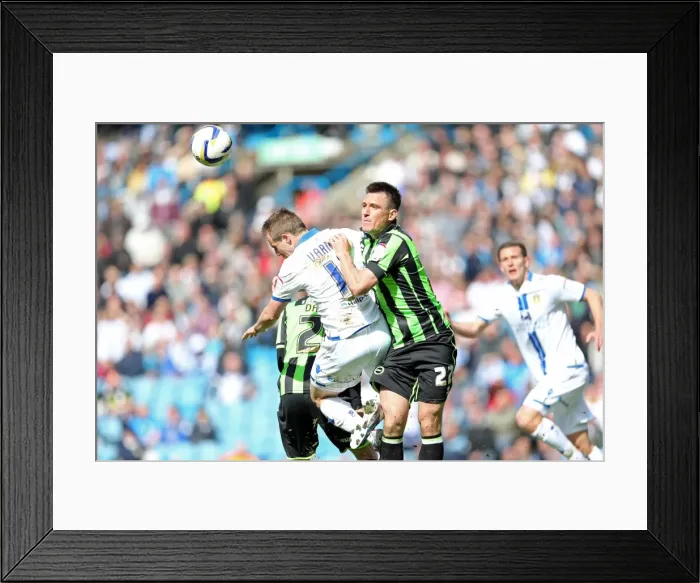 Framed Print : Brighton & Hove Albion vs. Leeds United: 2012-13 Away Game