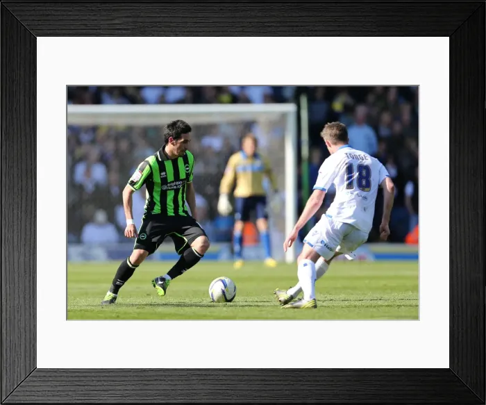 Framed Print : Brighton & Hove Albion vs. Leeds United: 2012-13 Away Game Framed Print : Brighton & Hove Albion vs. Leeds United: 2012-13 Away Game