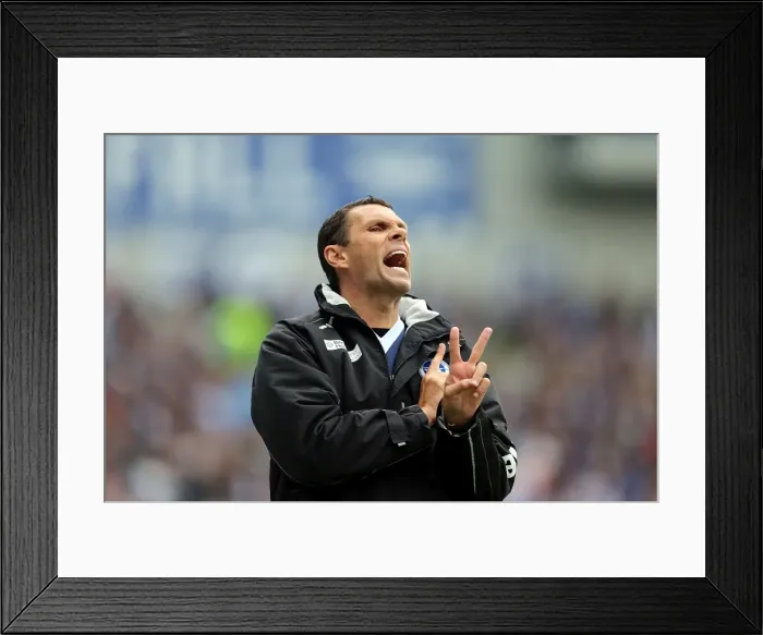 Framed Print : Gus Poyet Leads Brighton & Hove Albion against Wolverhampton Wanderers, Championship Final Matchday, Amex Stadium, May 4, 2013