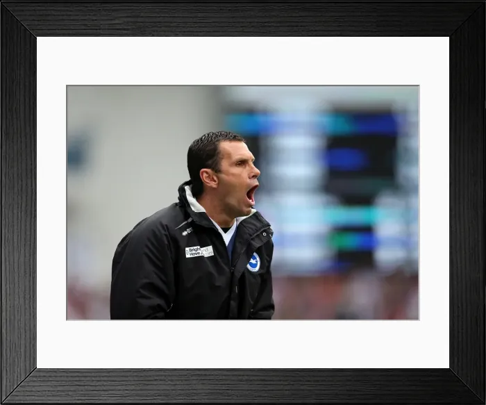 Framed Print : Gus Poyet Guides Brighton & Hove Albion in Championship Clash vs. Wolverhampton Wanderers (04-05-2013)