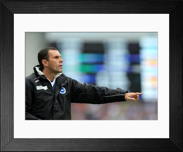 Framed Print : Gus Poyet's Brighton & Hove Albion Face Championship Showdown Against Wolverhampton Wanderers, May 2013