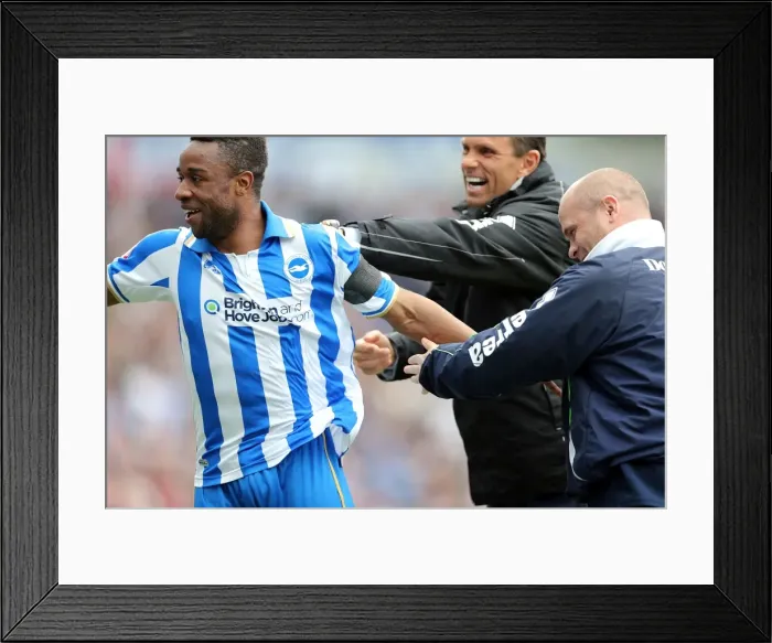 Framed Print : Brighton & Hove Albion's Kazenga LuaLua Scores Game-Winning Goal vs. Wolves (May 4, 2013) Framed Print : Brighton & Hove Albion's Kazenga LuaLua Scores Game-Winning Goal vs. Wolves (May 4, 2013)