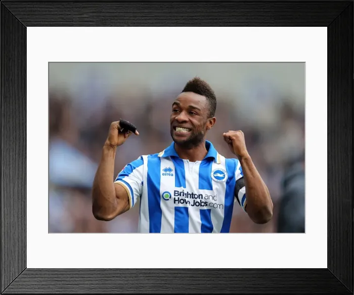 Framed Print : Brighton Wolves 130504 Framed Print : Brighton Wolves 130504