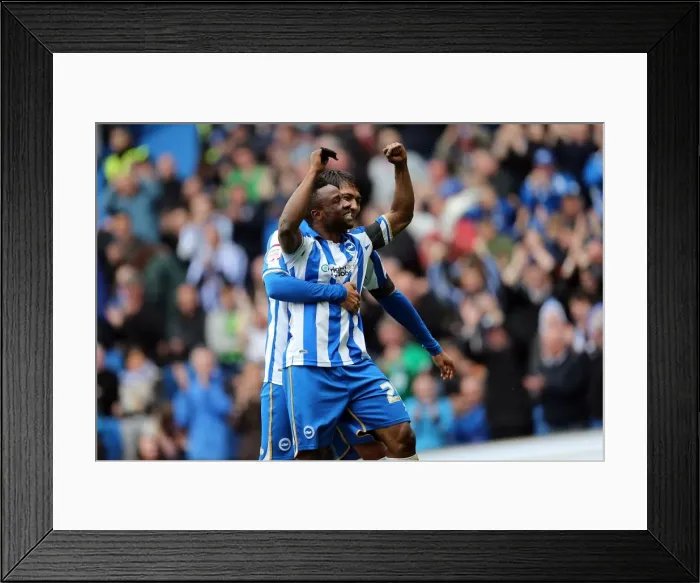 Framed Print : Brighton & Hove Albion's Kazenga LuaLua Scores and Celebrates 2-0 Lead Against Wolverhampton Wanderers (May 4, 2013) Framed Print : Brighton & Hove Albion's Kazenga LuaLua Scores and Celebrates 2-0 Lead Against Wolverhampton Wanderers (May 4, 2013)