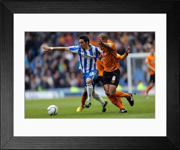 Framed Print : Vicente's Mesmerizing Run: Brighton & Hove Albion vs. Wolverhampton Wanderers (May 4, 2013)
