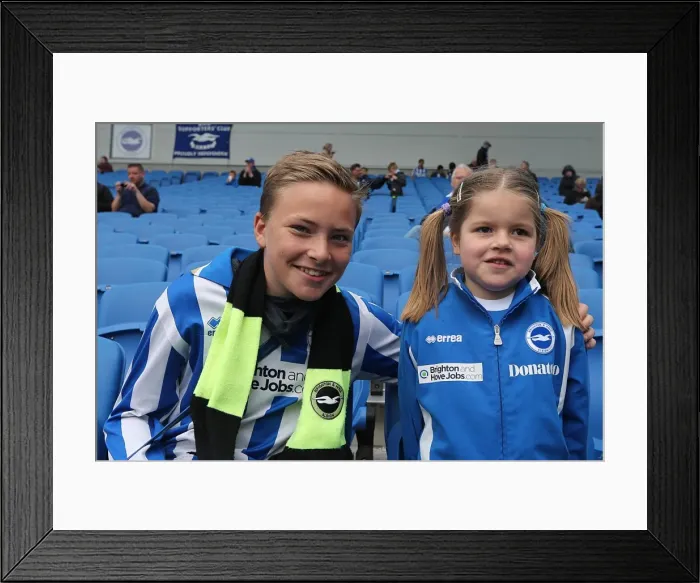 Framed Print : Brighton & Hove Albion: Electric Atmosphere - The Amex Stadium Crowd Shots (2012-2013) Framed Print : Brighton & Hove Albion: Electric Atmosphere - The Amex Stadium Crowd Shots (2012-2013)