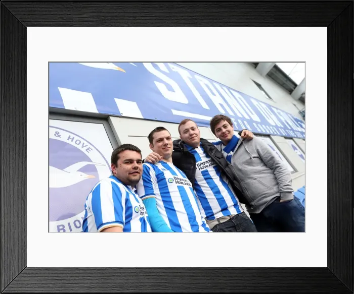 Framed Print : Brighton & Hove Albion FC: Electric Atmosphere at The Amex (2012-2013) - Crowd Shots