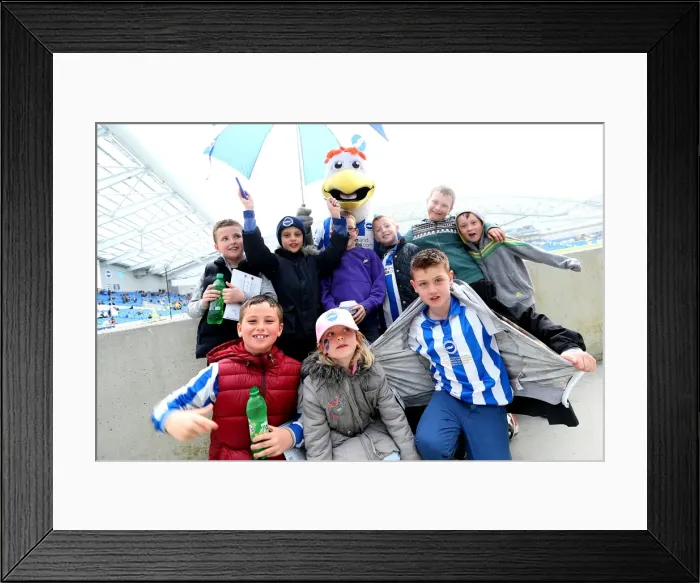 Framed Print : Brighton & Hove Albion: Electric Atmosphere - The Amex Stadium Crowd Shots (2012-2013) Framed Print : Brighton & Hove Albion: Electric Atmosphere - The Amex Stadium Crowd Shots (2012-2013)