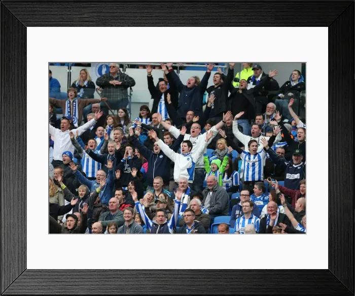 Framed Print : Brighton & Hove Albion vs. Wolves: 2012-13 Home Game Framed Print : Brighton & Hove Albion vs. Wolves: 2012-13 Home Game