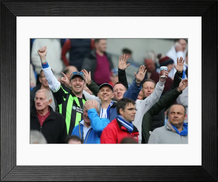Framed Print : Electrifying Crowd Moments at Brighton & Hove Albion's The Amex Stadium (2012-13) Framed Print : Electrifying Crowd Moments at Brighton & Hove Albion's The Amex Stadium (2012-13)