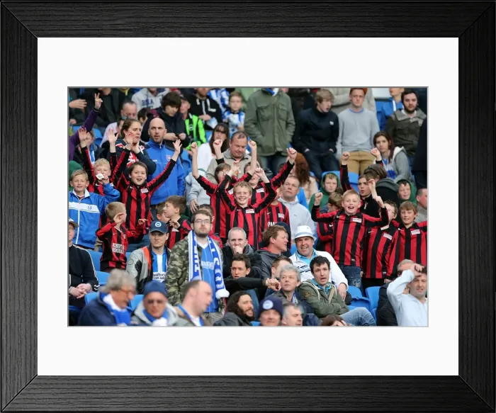 Framed Print : Brighton & Hove Albion vs. Wolves: 2012-13 Home Game Framed Print : Brighton & Hove Albion vs. Wolves: 2012-13 Home Game
