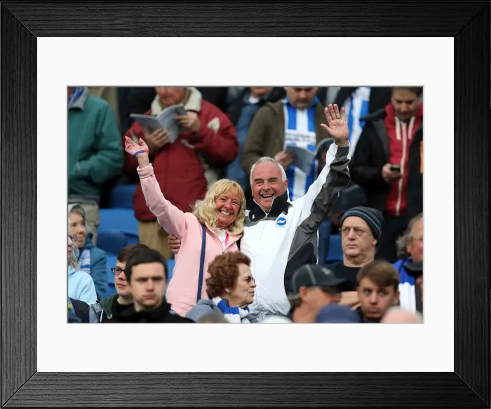 Framed Print : Brighton & Hove Albion vs. Wolves: 2012-13 Home Game Framed Print : Brighton & Hove Albion vs. Wolves: 2012-13 Home Game