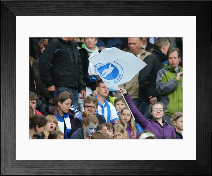 Framed Print : Brighton & Hove Albion vs. Wolves: 2012-13 Home Game Framed Print : Brighton & Hove Albion vs. Wolves: 2012-13 Home Game