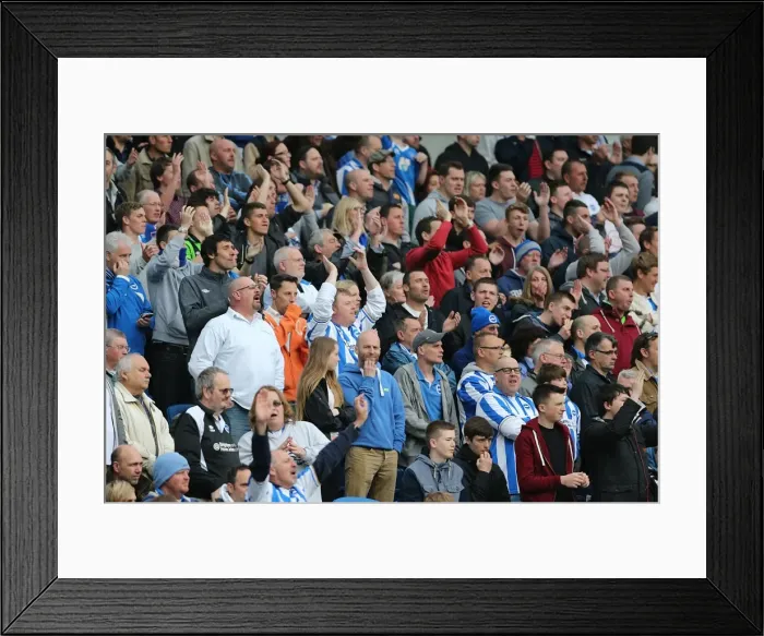 Framed Print : Brighton & Hove Albion vs. Wolves: 2012-13 Home Game Framed Print : Brighton & Hove Albion vs. Wolves: 2012-13 Home Game