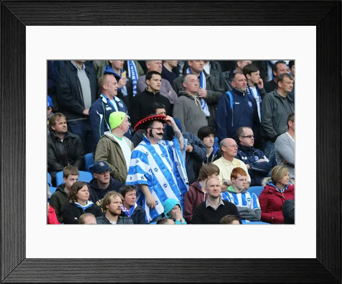 Framed Print : Brighton & Hove Albion vs. Wolves: 2012-13 Home Game