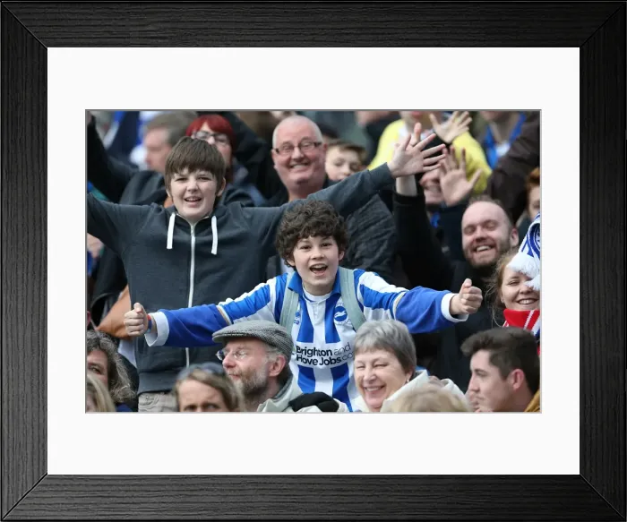 Framed Print : Brighton & Hove Albion vs. Wolves: 2012-13 Home Game Framed Print : Brighton & Hove Albion vs. Wolves: 2012-13 Home Game
