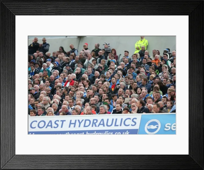 Framed Print : Brighton And Hove Albion Past Seasons: Season 2012-13: 2012-13 Home Games: Wolves - 04-05-2013 Framed Print : Brighton And Hove Albion Past Seasons: Season 2012-13: 2012-13 Home Games: Wolves - 04-05-2013