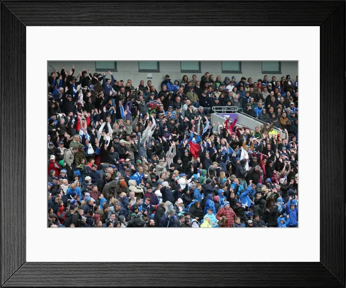 Framed Print : Brighton & Hove Albion vs. Wolves: 2012-13 Home Game