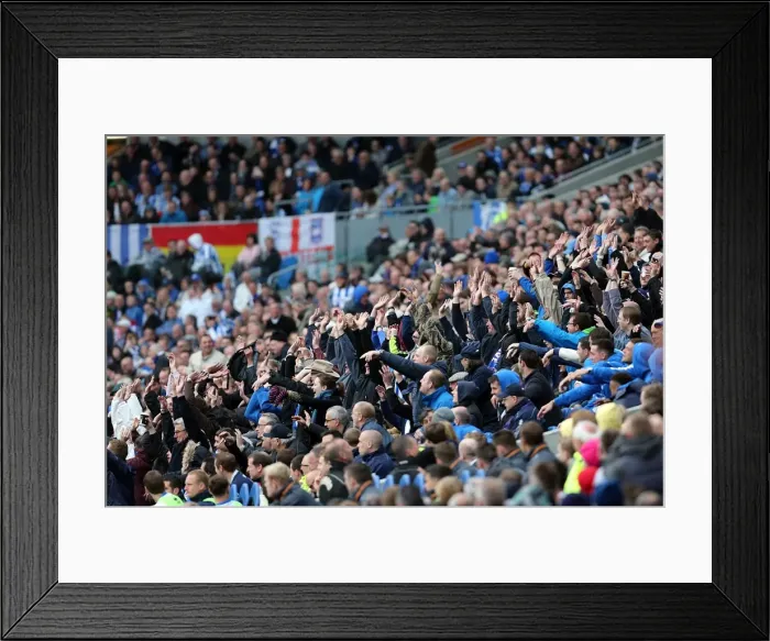 Framed Print : Brighton & Hove Albion vs. Wolves: 2012-13 Home Game