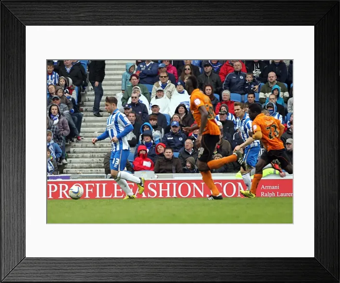 Framed Print : Brighton & Hove Albion vs. Wolves: 2012-13 Home Game