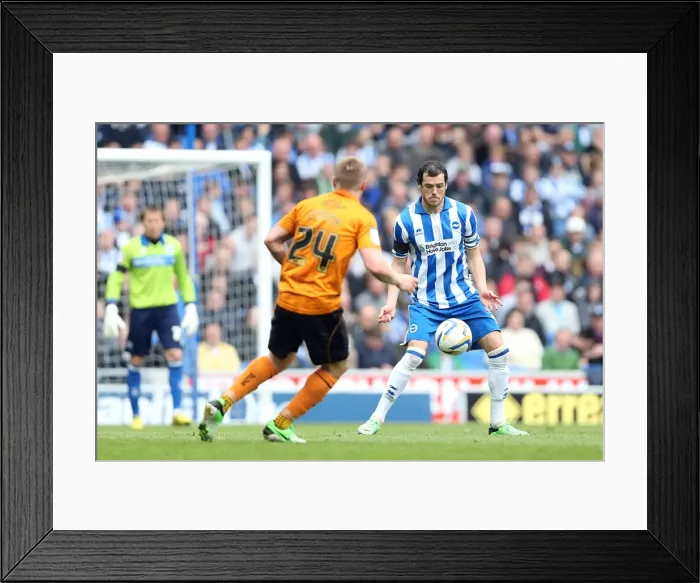 Framed Print : Brighton & Hove Albion vs. Wolves: 2012-13 Home Game
