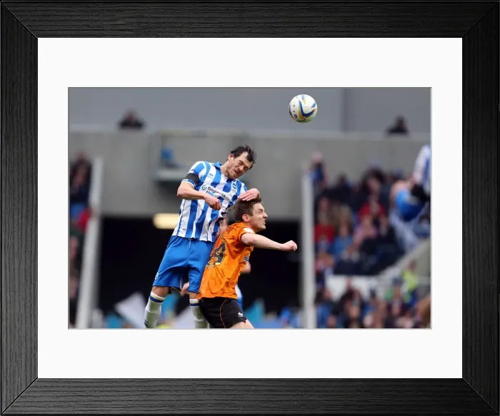 Framed Print : Brighton & Hove Albion vs. Wolves: 2012-13 Home Game Framed Print : Brighton & Hove Albion vs. Wolves: 2012-13 Home Game