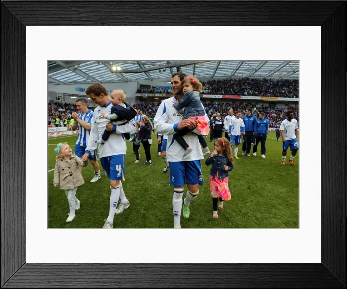 Framed Print : Brighton & Hove Albion vs. Wolves: 2012-13 Home Game