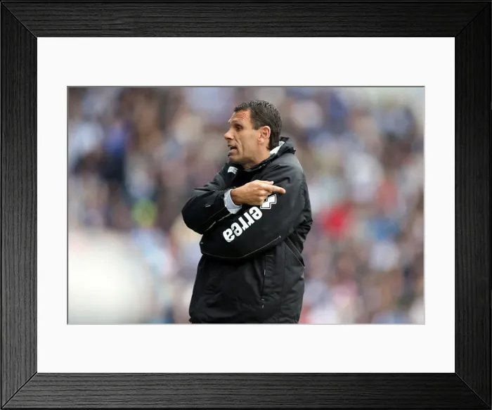 Framed Print : Brighton & Hove Albion vs. Wolves: 2012-13 Home Game