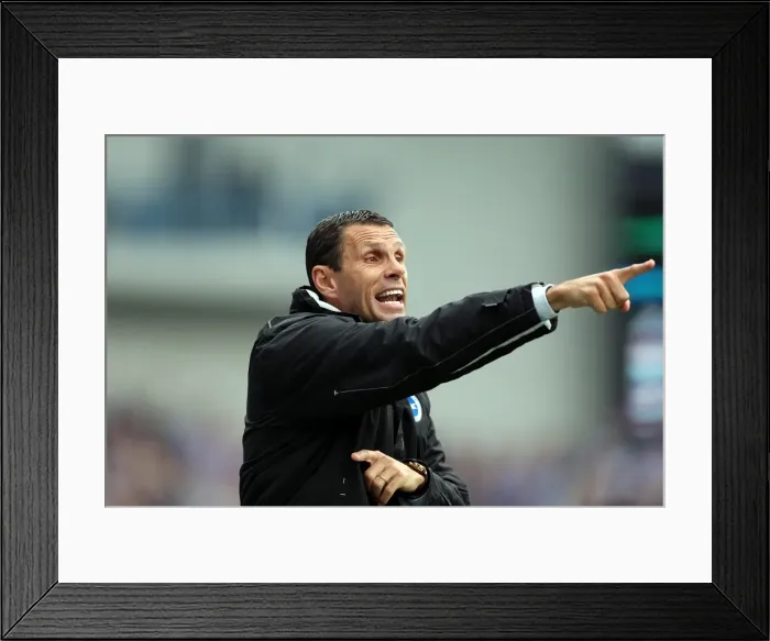 Framed Print : Brighton & Hove Albion vs. Wolves: 2012-13 Home Game
