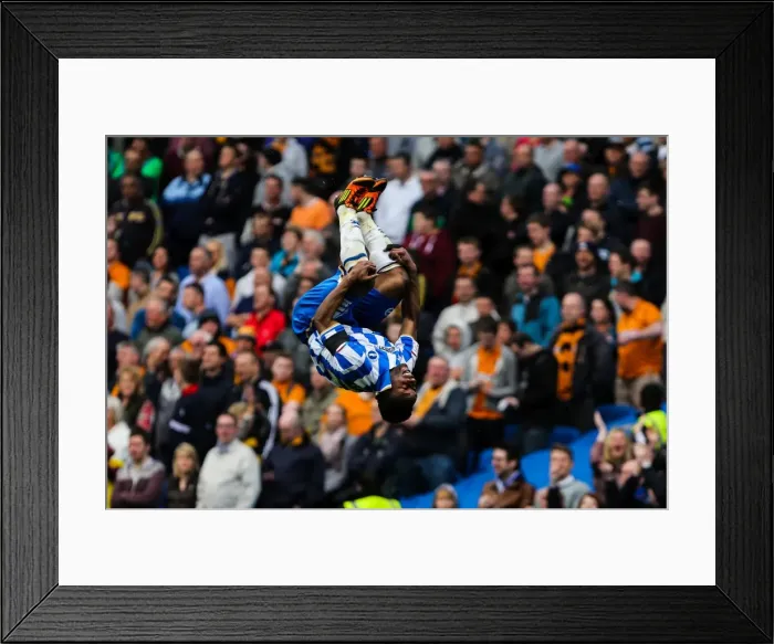 Framed Print : Brighton & Hove Albion vs. Wolves: 2012-13 Home Game Framed Print : Brighton & Hove Albion vs. Wolves: 2012-13 Home Game