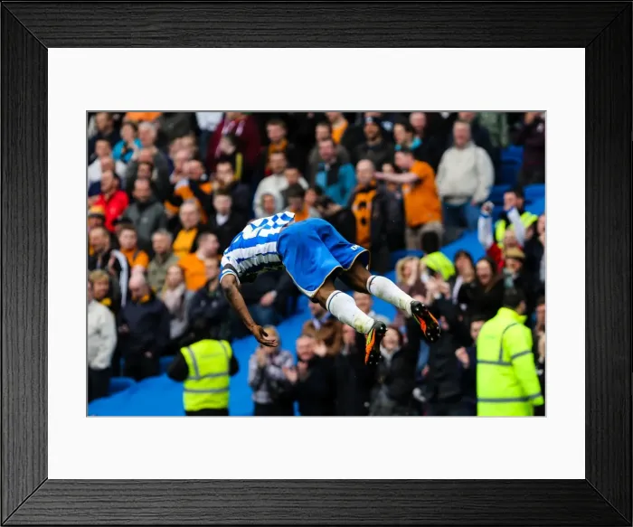 Framed Print : Brighton & Hove Albion vs. Wolves (2012-13 Home Game) Framed Print : Brighton & Hove Albion vs. Wolves (2012-13 Home Game)