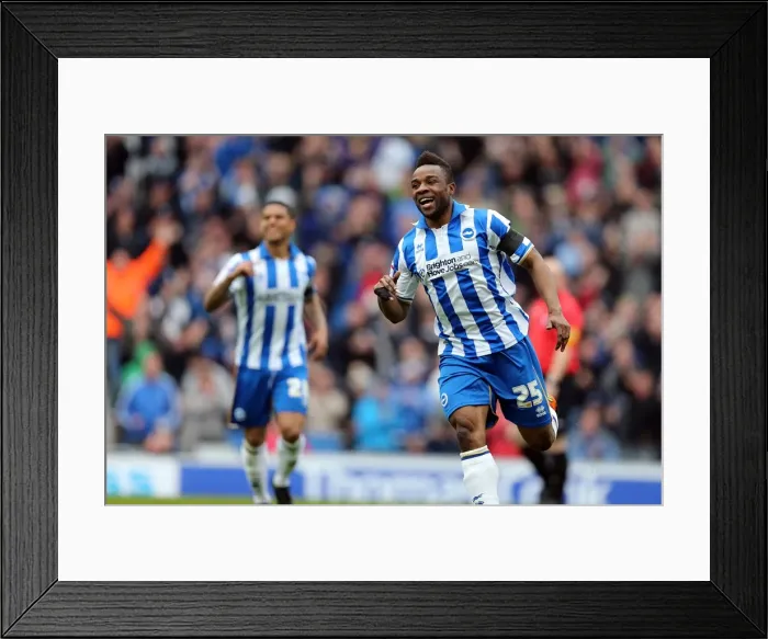 Framed Print : Brighton & Hove Albion vs. Wolves: 2012-13 Home Game Framed Print : Brighton & Hove Albion vs. Wolves: 2012-13 Home Game
