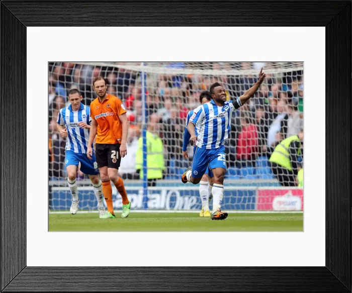 Framed Print : Brighton & Hove Albion vs. Wolves: 2012-13 Home Game Framed Print : Brighton & Hove Albion vs. Wolves: 2012-13 Home Game