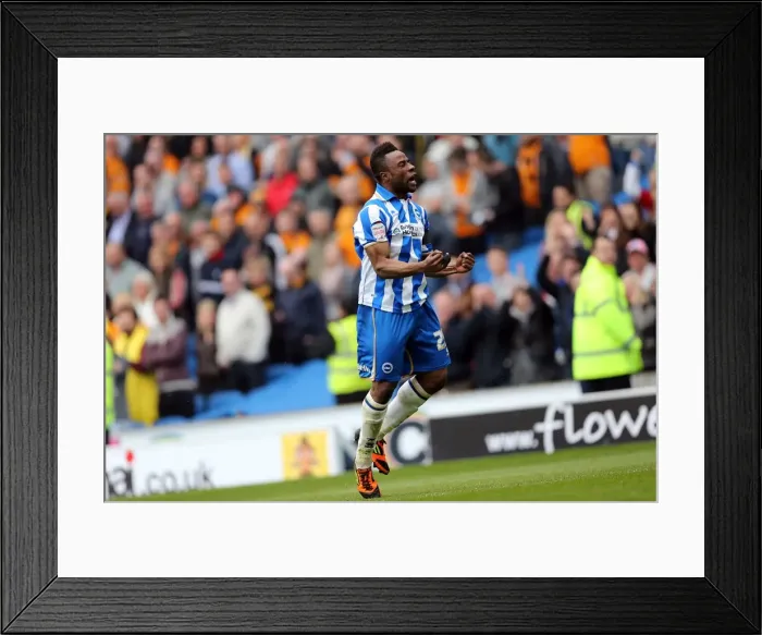 Framed Print : Brighton & Hove Albion vs. Wolves: 2012-13 Home Game Framed Print : Brighton & Hove Albion vs. Wolves: 2012-13 Home Game