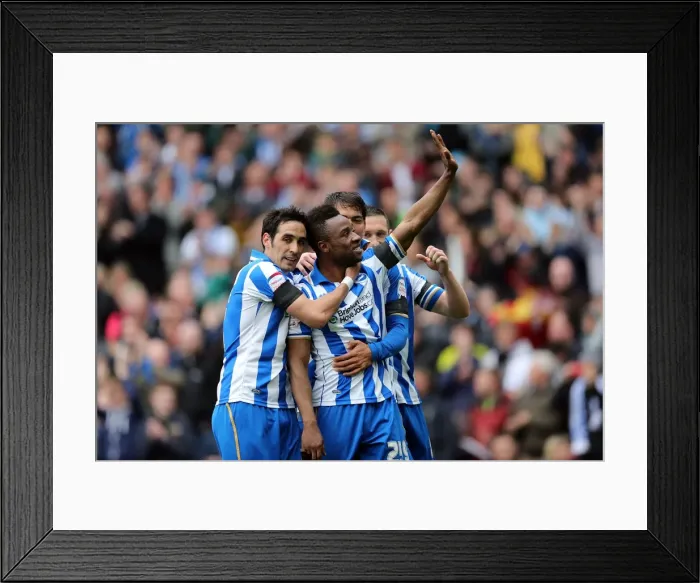 Framed Print : Brighton & Hove Albion vs. Wolves: 2012-13 Home Game Framed Print : Brighton & Hove Albion vs. Wolves: 2012-13 Home Game