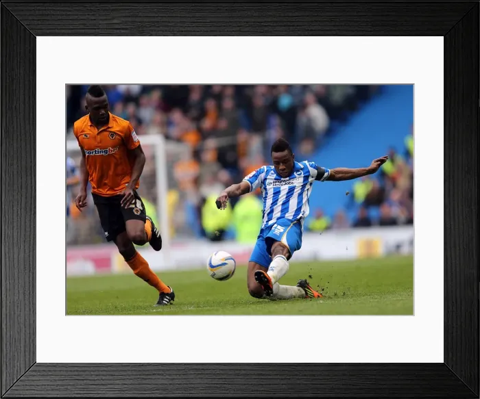 Framed Print : Brighton & Hove Albion vs. Wolves: 2012-13 Home Game