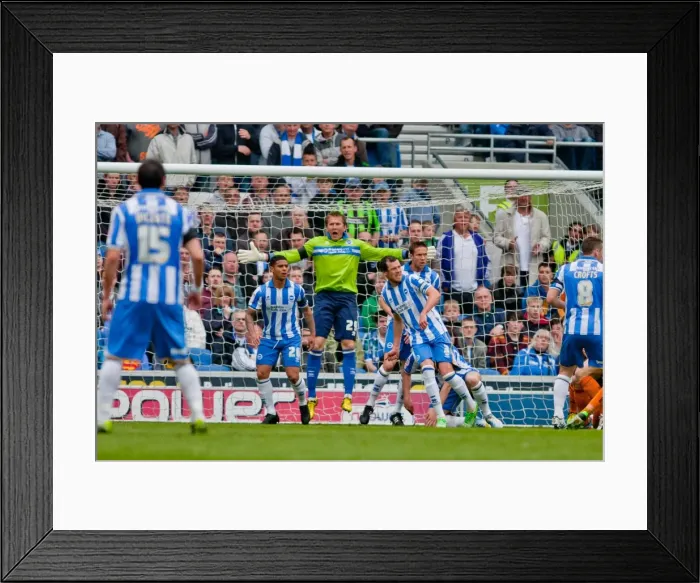 Framed Print : Brighton & Hove Albion vs. Wolves: 2012-13 Home Game