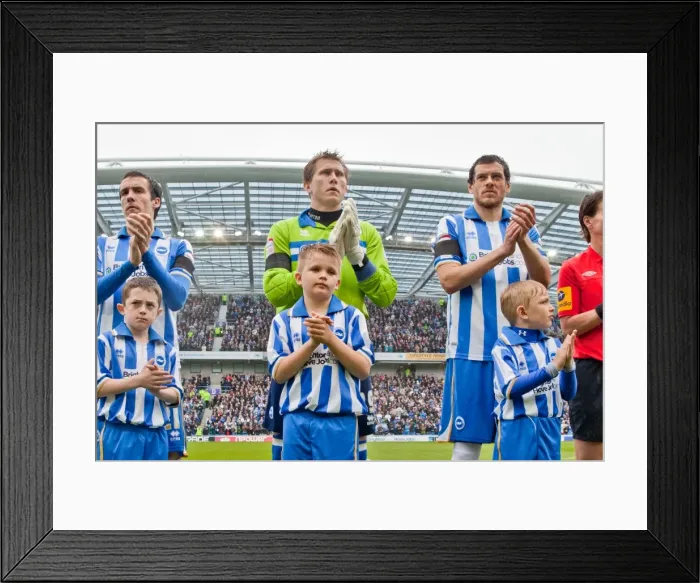 Framed Print : Brighton & Hove Albion vs. Wolves: 2012-13 Home Game